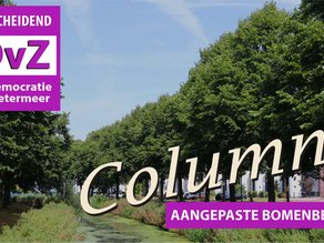 Column: Aangepaste Bomenbeleid
